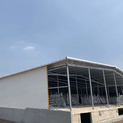 Customizable Prefab Frame Steel Structure Fire Resistance Rockwool Sandwich Panel Warehouse