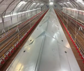 Prefab Steel Structure Greenhouse Chicken Coop Prefabricated Chicken Farm Poultry Farm for 10000 Chickens