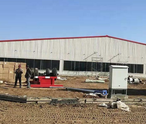 Low Cost Steel Structure Pig Breeding Shed/piggery/hog House