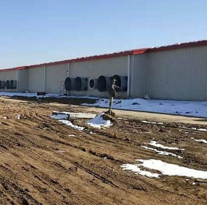 Low Cost Steel Structure Pig Breeding Shed/piggery/hog House