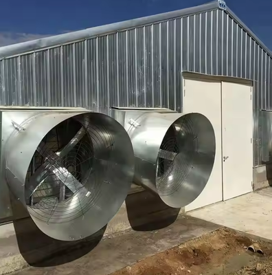 Prefabricated Steel Structure Poultry Farm Structures Poultry Control Shed Construction Building for Chicken