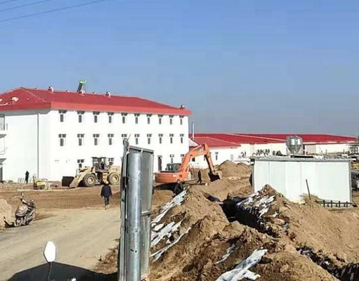 Low Cost Steel Structure Pig Breeding Shed/piggery/hog House